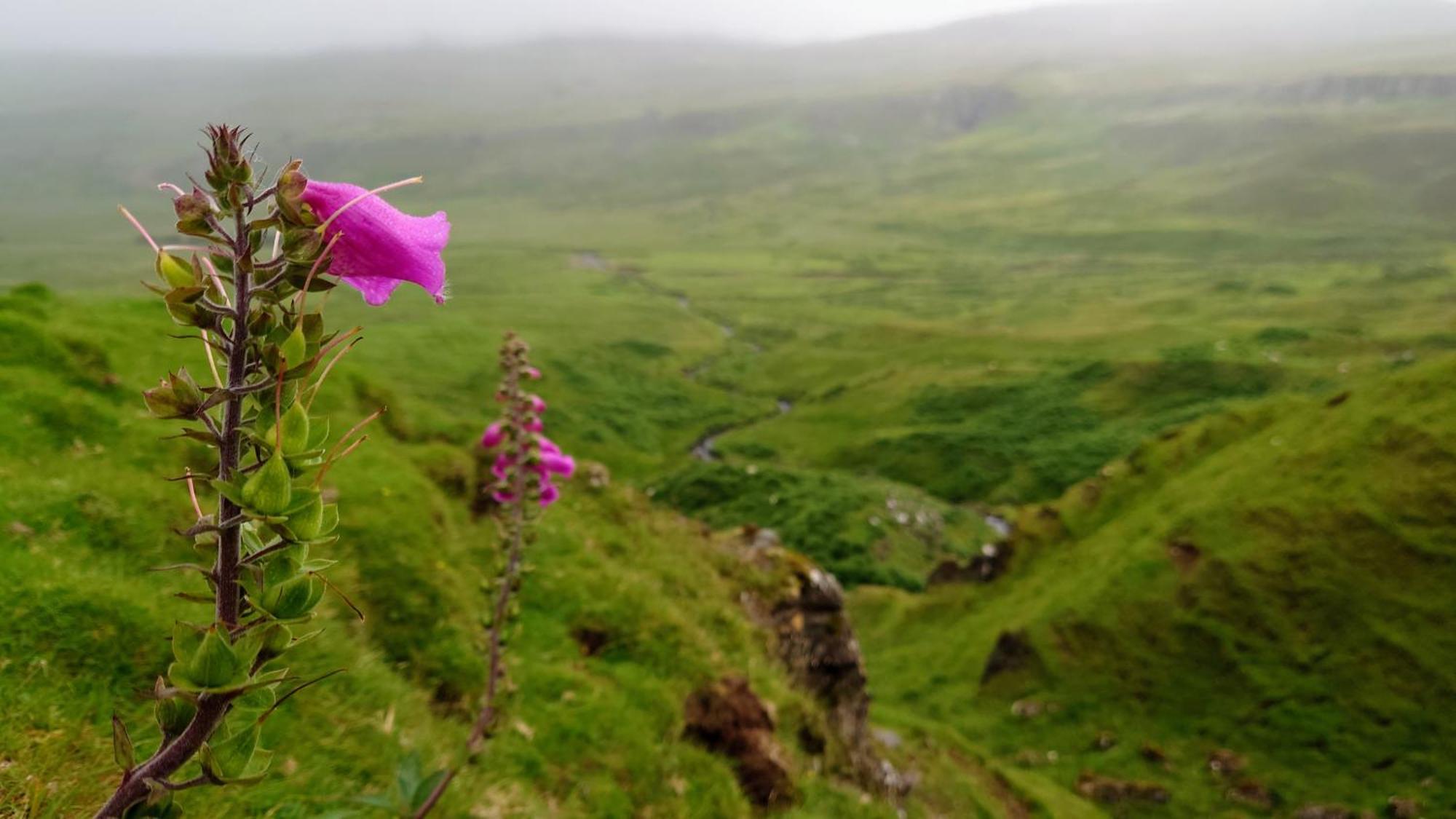 Uig Chalets Idrigill Hill Chalet Quarto foto